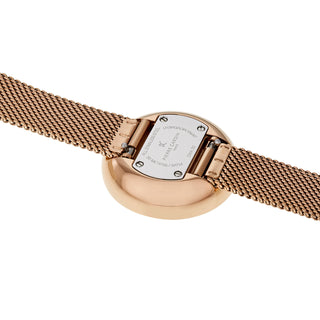 Angle shot of Pierre Cardin CMA-0003 Womens Watch on white background