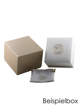 Angle shot of Versace VEVH00920 Silver Stainless Steel Womens Watch on white background